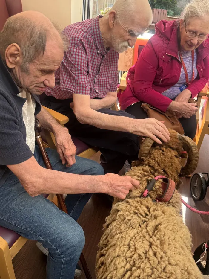 Residents stroking a visiting goat