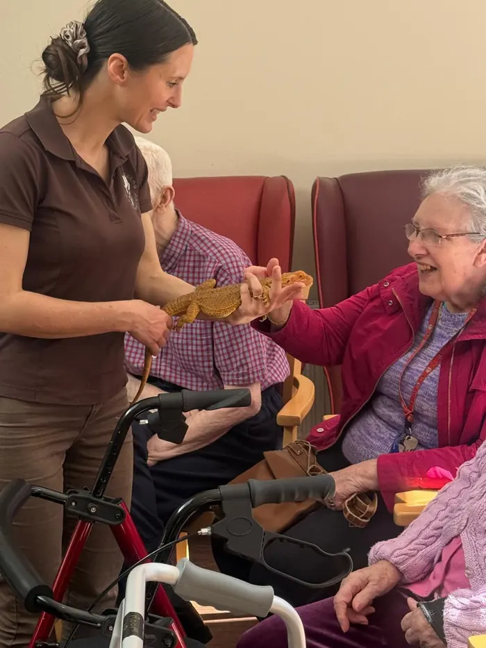 A resident smiling as she strokes a bearded dragon during an animal visit